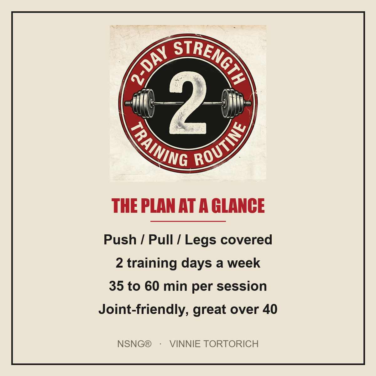 Vinnie's 2-Day Strength Routine plan at a glance
