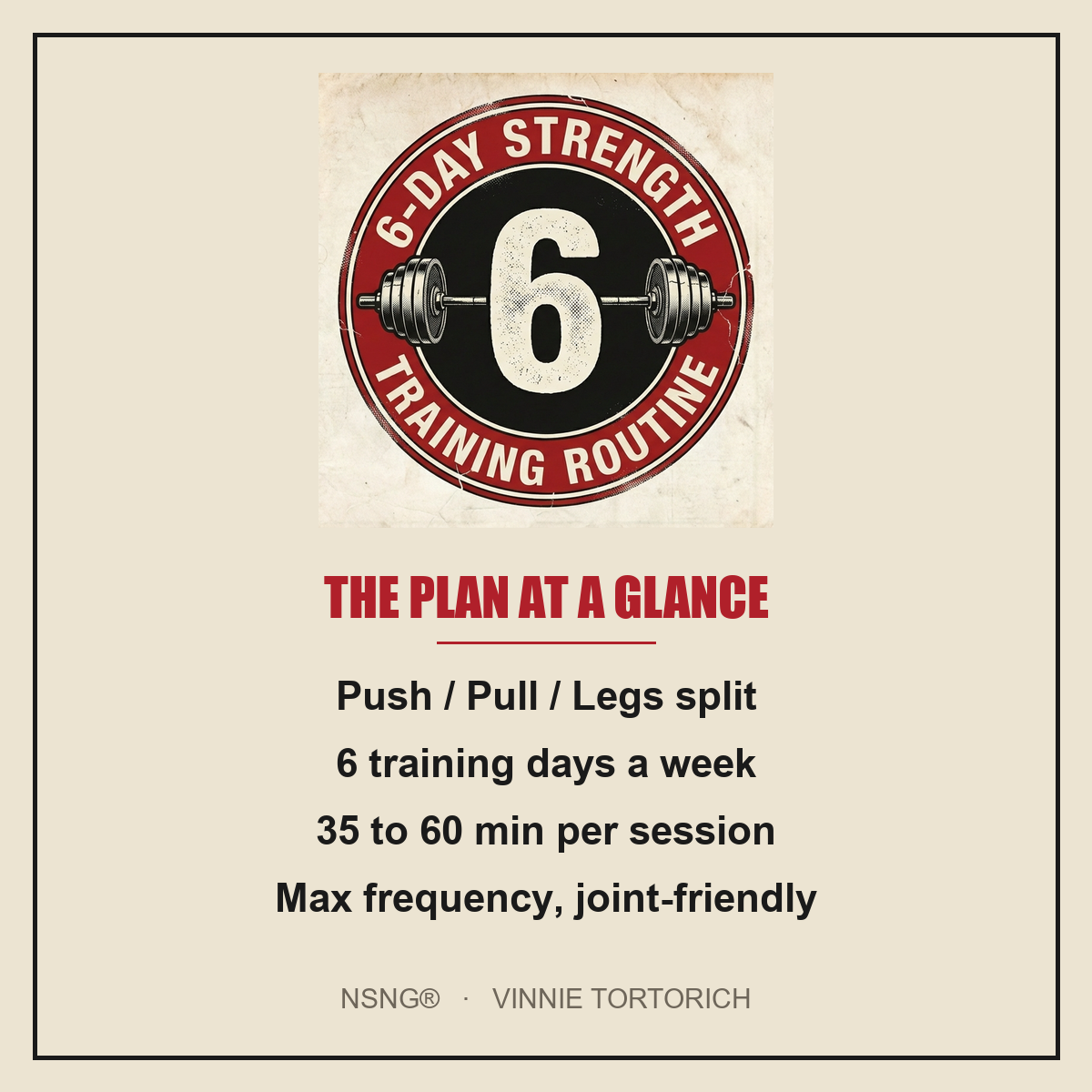Vinnie's 6-Day Strength Routine plan at a glance