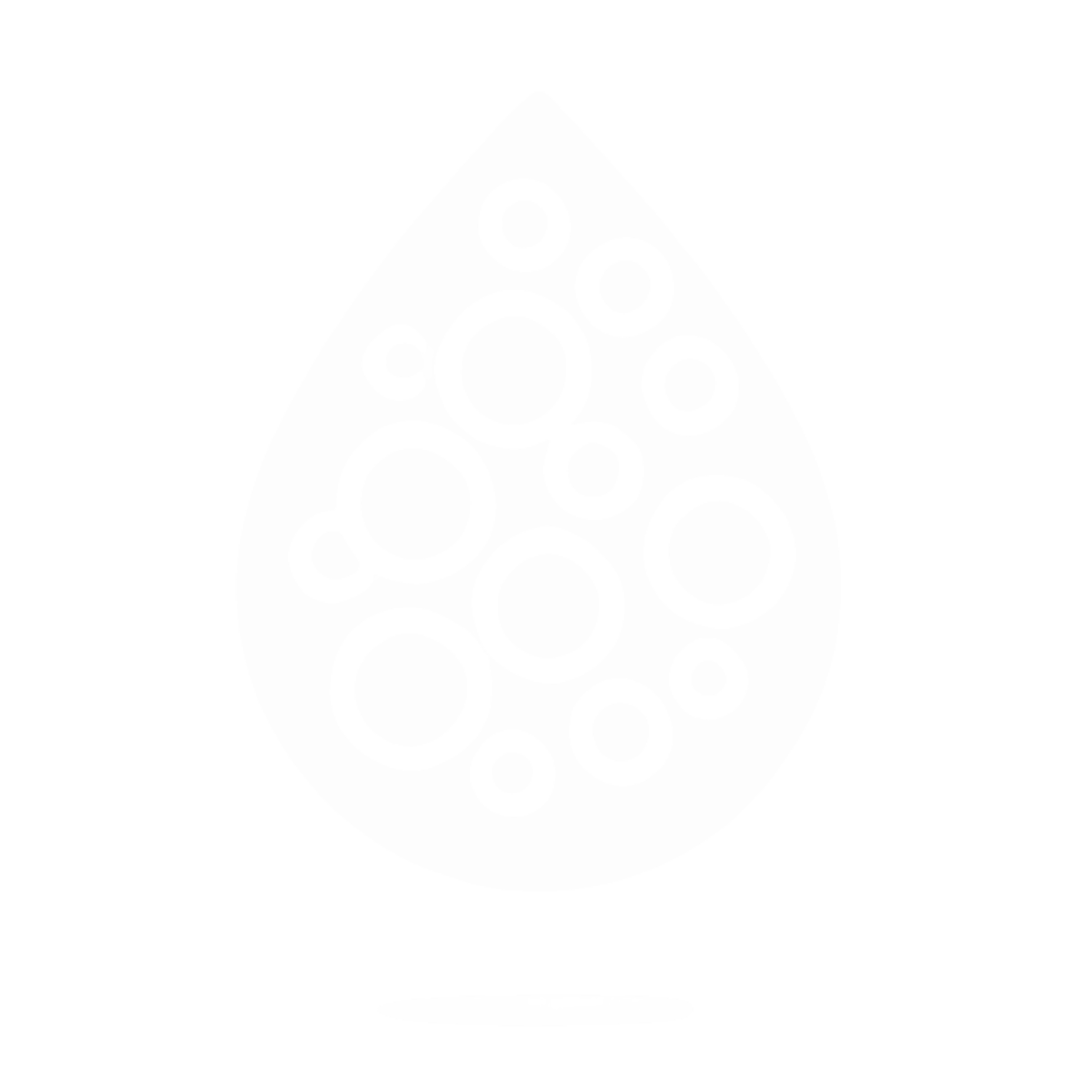 Boosts Red Blood Cell Formation